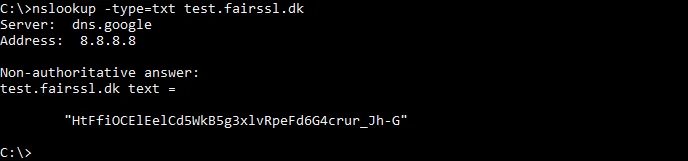 Check Txt Record