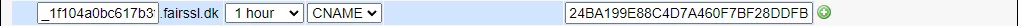 New C Name Record Domainnameshop